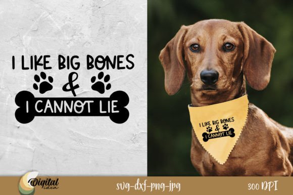 I Like Big Bone Embroidery Design Review