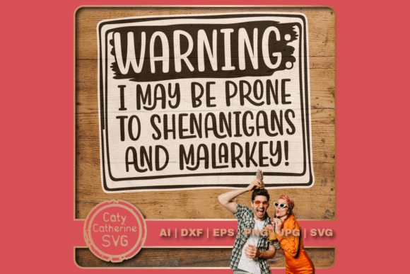 Warning I May Be Prone to Shenanigans Embroidery Review